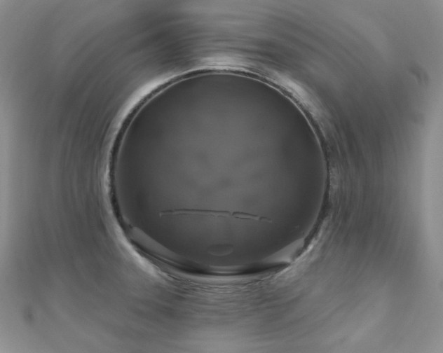 X0000110701331200906121326