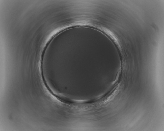 X0000110701334200906121326