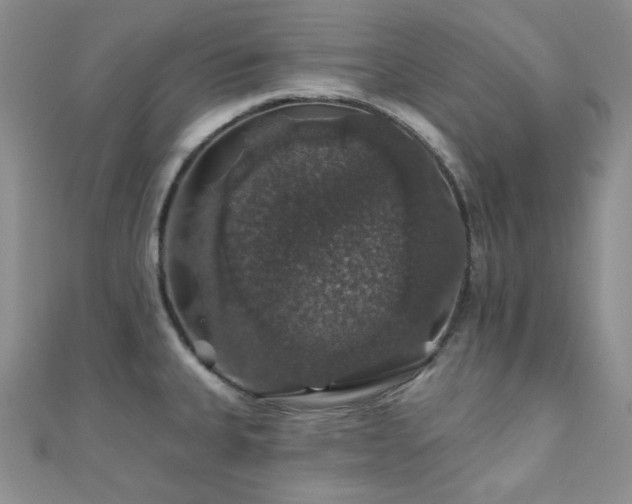 X0000110701335200906121326