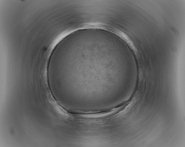X0000110701336200906121326