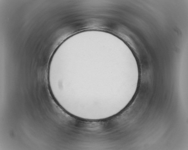 X0000110701338200906121326