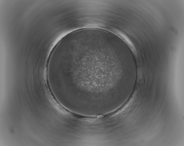 X0000110701340200906121326