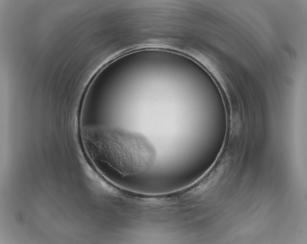 X0000110701341200906121326