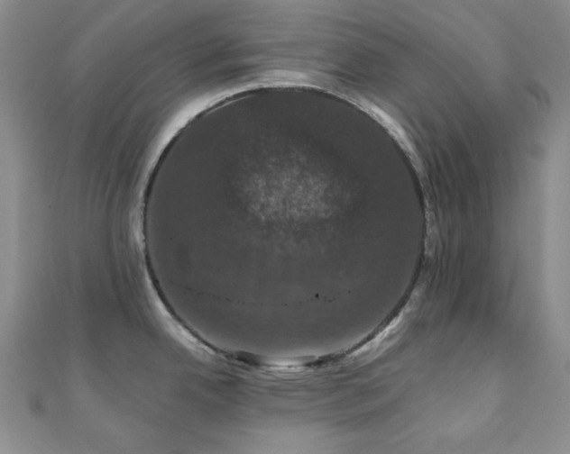 X0000110701342200906121326