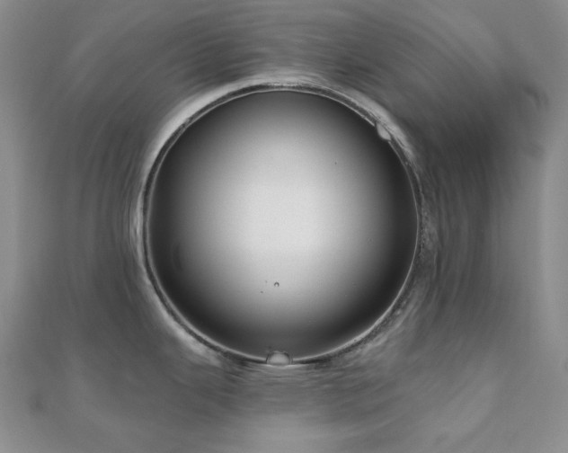X0000110701343200906121326