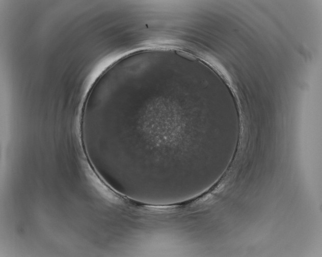 X0000110701344200906121326
