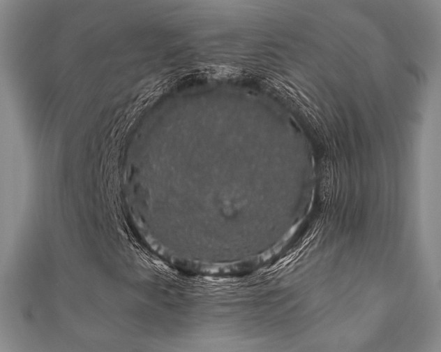 X0000110701345200906121325