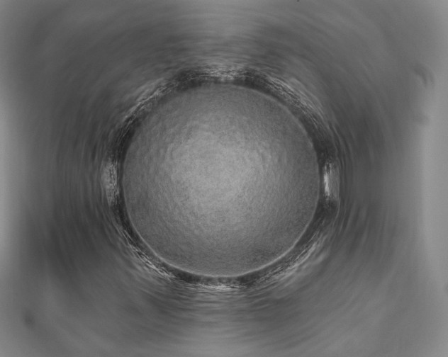 X0000110701347200906121325
