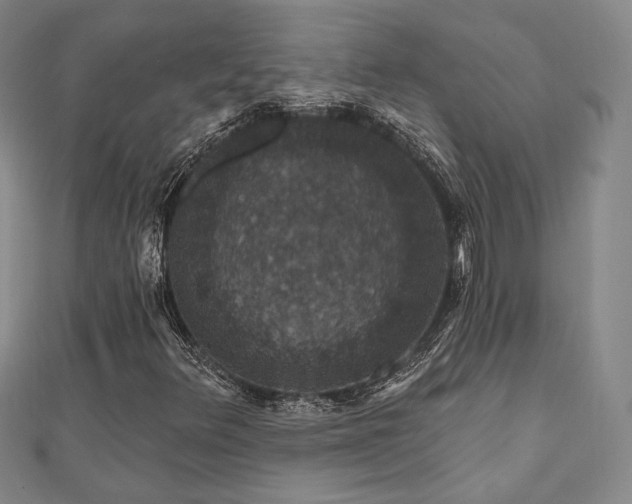 X0000110701348200906121325