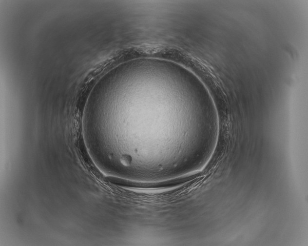 X0000110701349200906121325
