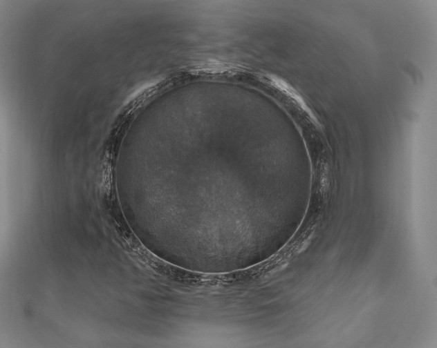 X0000110701350200906121325