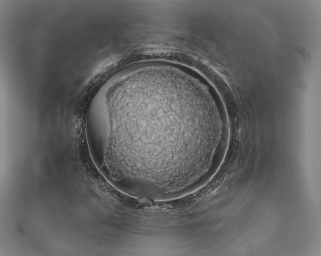 X0000110701351200906121325