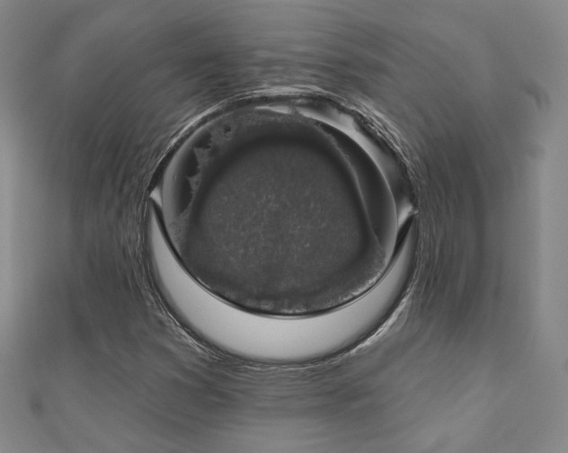 X0000110701353200906121325