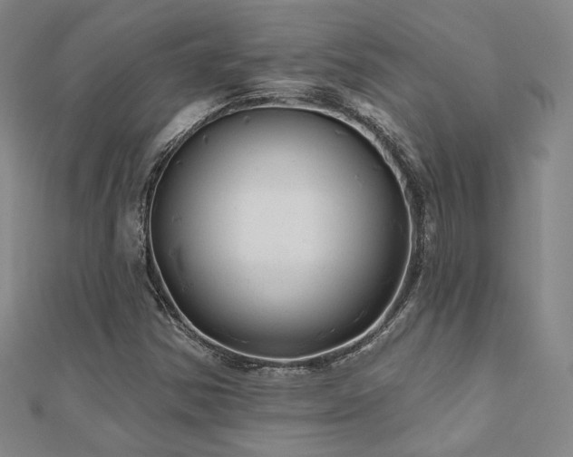 X0000110701354200906121325