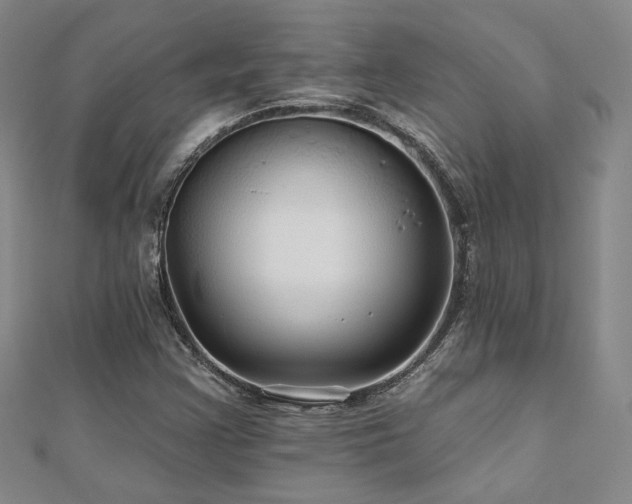 X0000110701355200906121325
