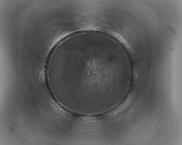 X0000110701356200906121325
