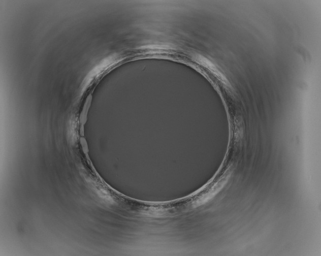 X0000110701357200906121325