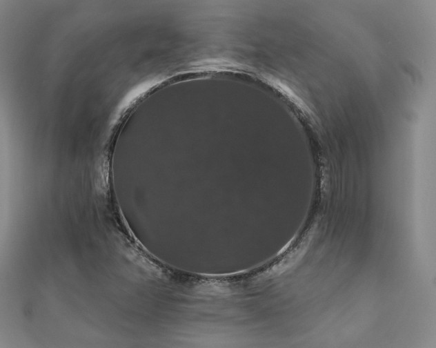 X0000110701358200906121325