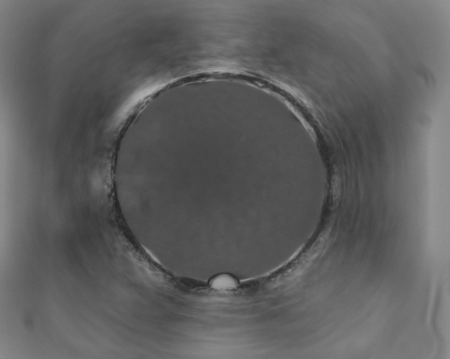X0000110701359200906121325