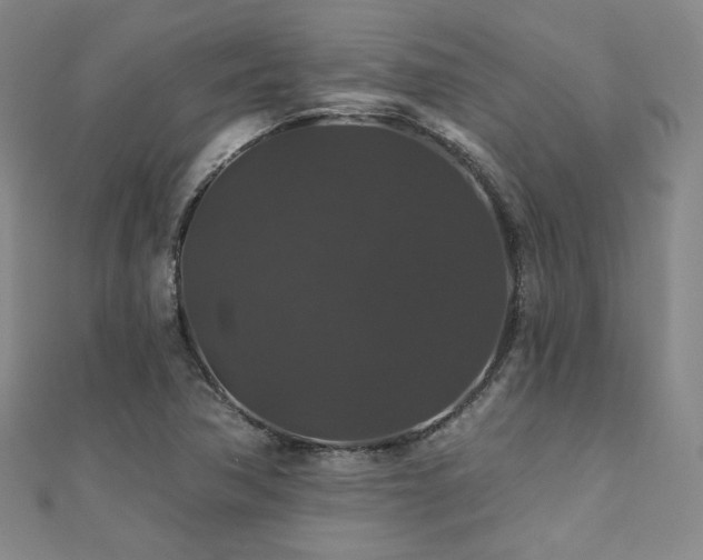 X0000110701362200906121325