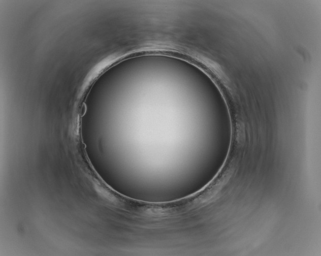 X0000110701366200906121325