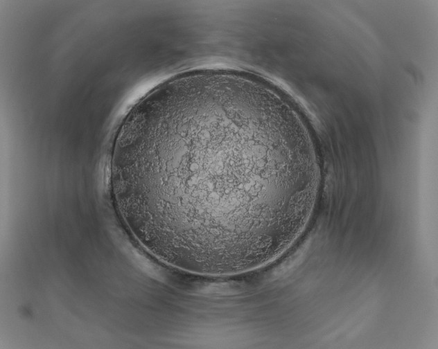 X0000110701367200906121325
