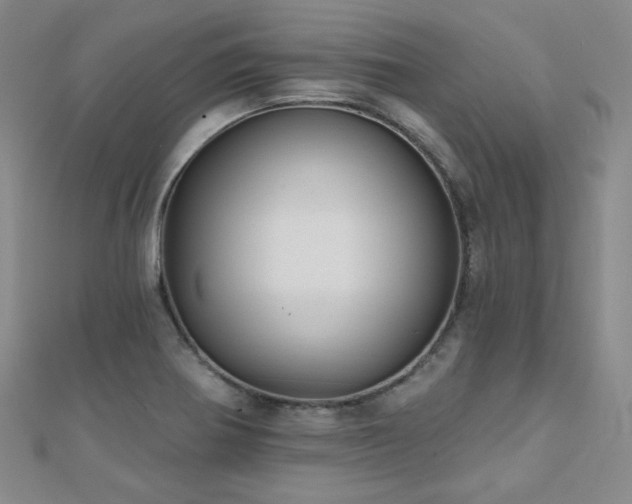 X0000110701370200906121325