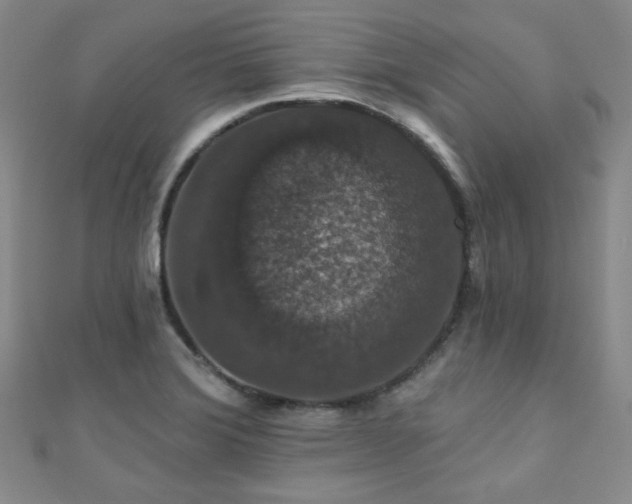 X0000110701372200906121325