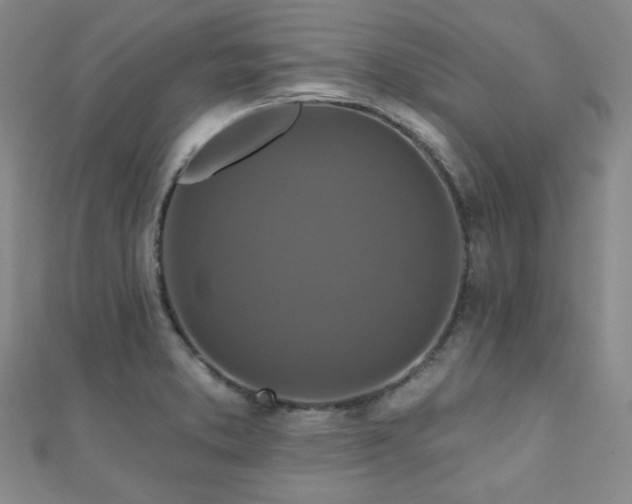 X0000110701373200906121325