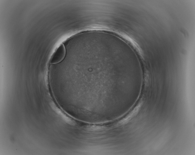 X0000110701374200906121325