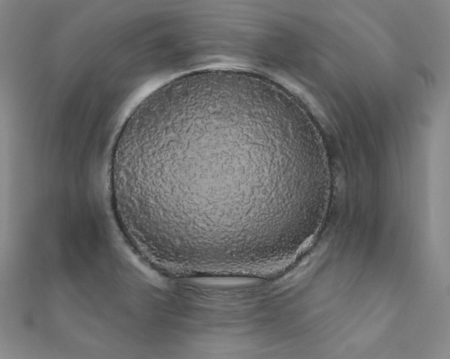 X0000110701375200906121325