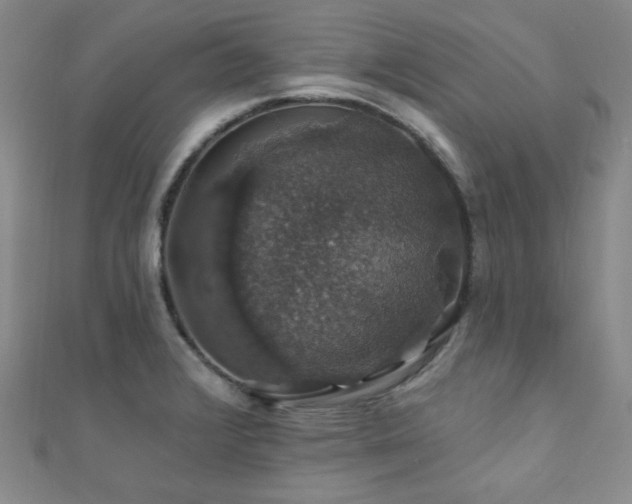 X0000110701376200906121325