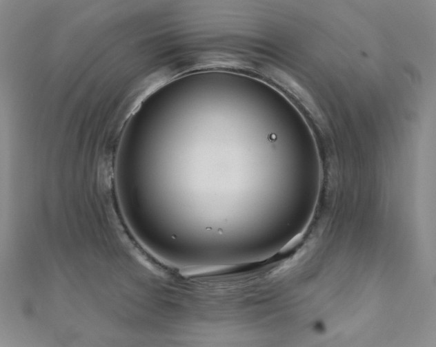 X0000110701377200906121325