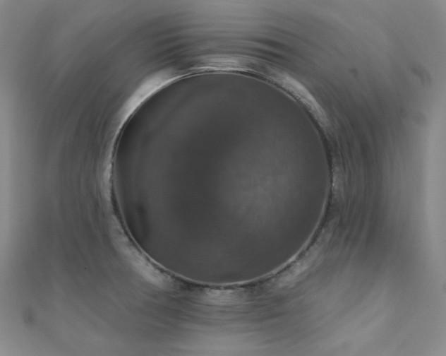 X0000110701378200906121325