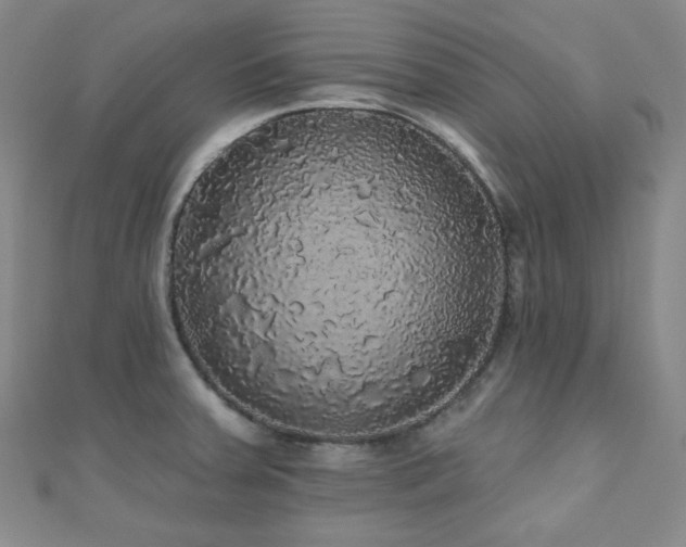 X0000110701379200906121325