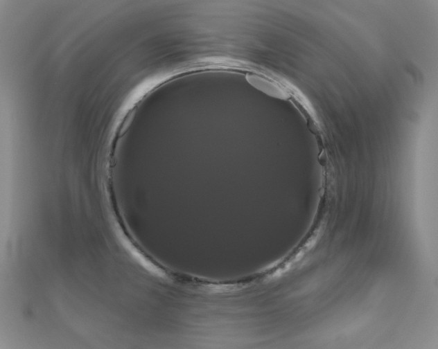 X0000110701381200906121325
