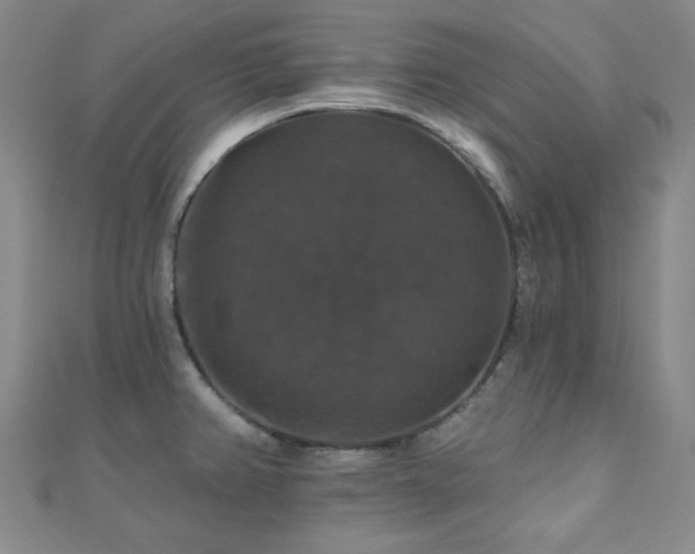 X0000110701382200906121324