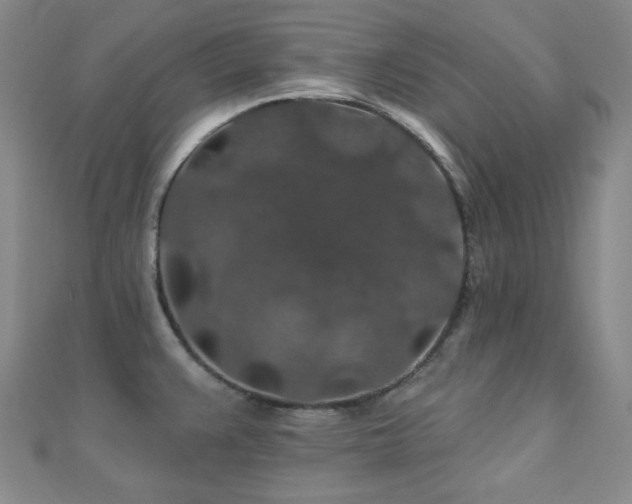 X0000110701383200906121324