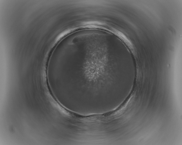 X0000110701384200906121324
