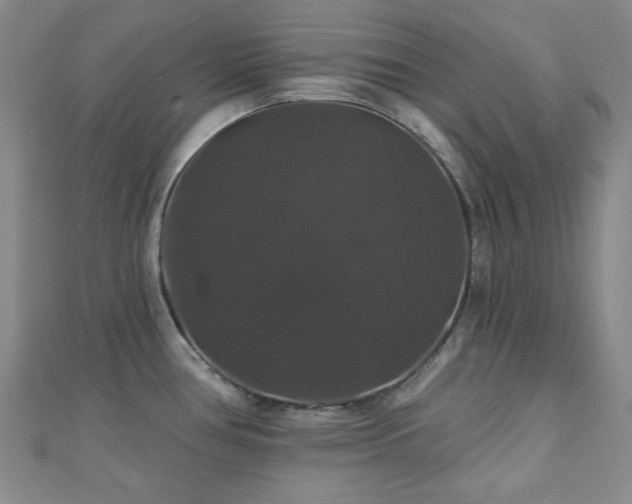 X0000110701386200906121324