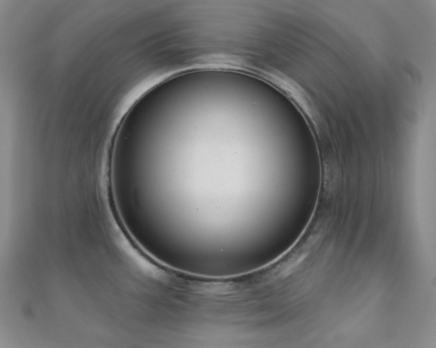 X0000110701387200906121324