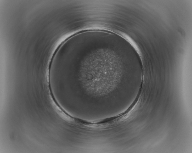 X0000110701388200906121324