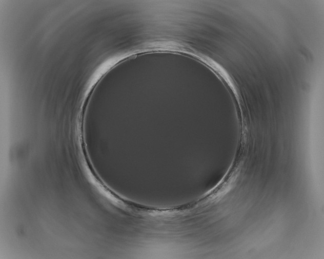 X0000110701389200906121324