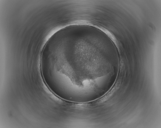 X0000110701390200906121324