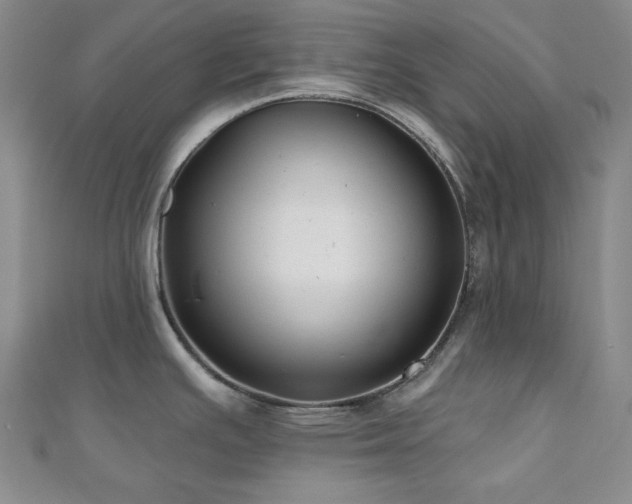 X0000110701391200906121324