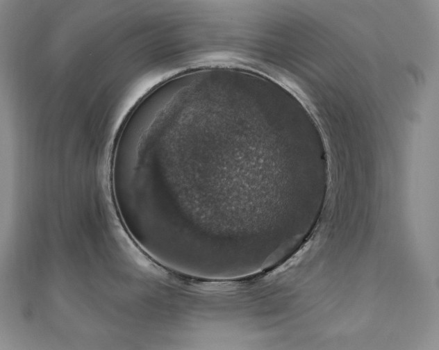 X0000110701392200906121324