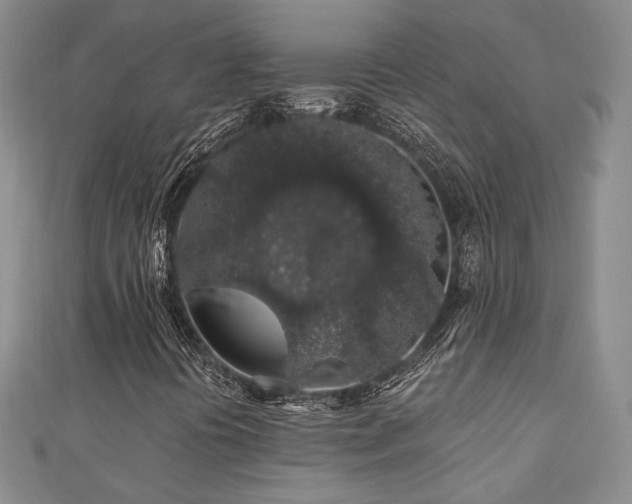 X0000110701394200906121324