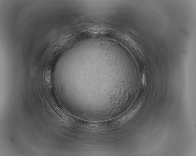 X0000110701396200906121324