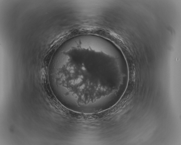 X0000110701397200906121324