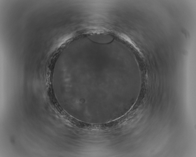 X0000110701399200906121324